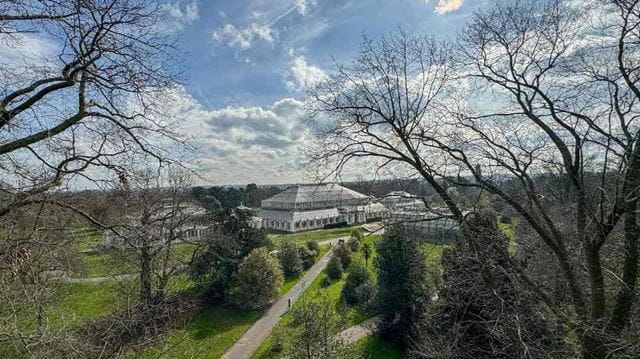 Kew Gardens from above